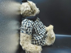 theodora bear b